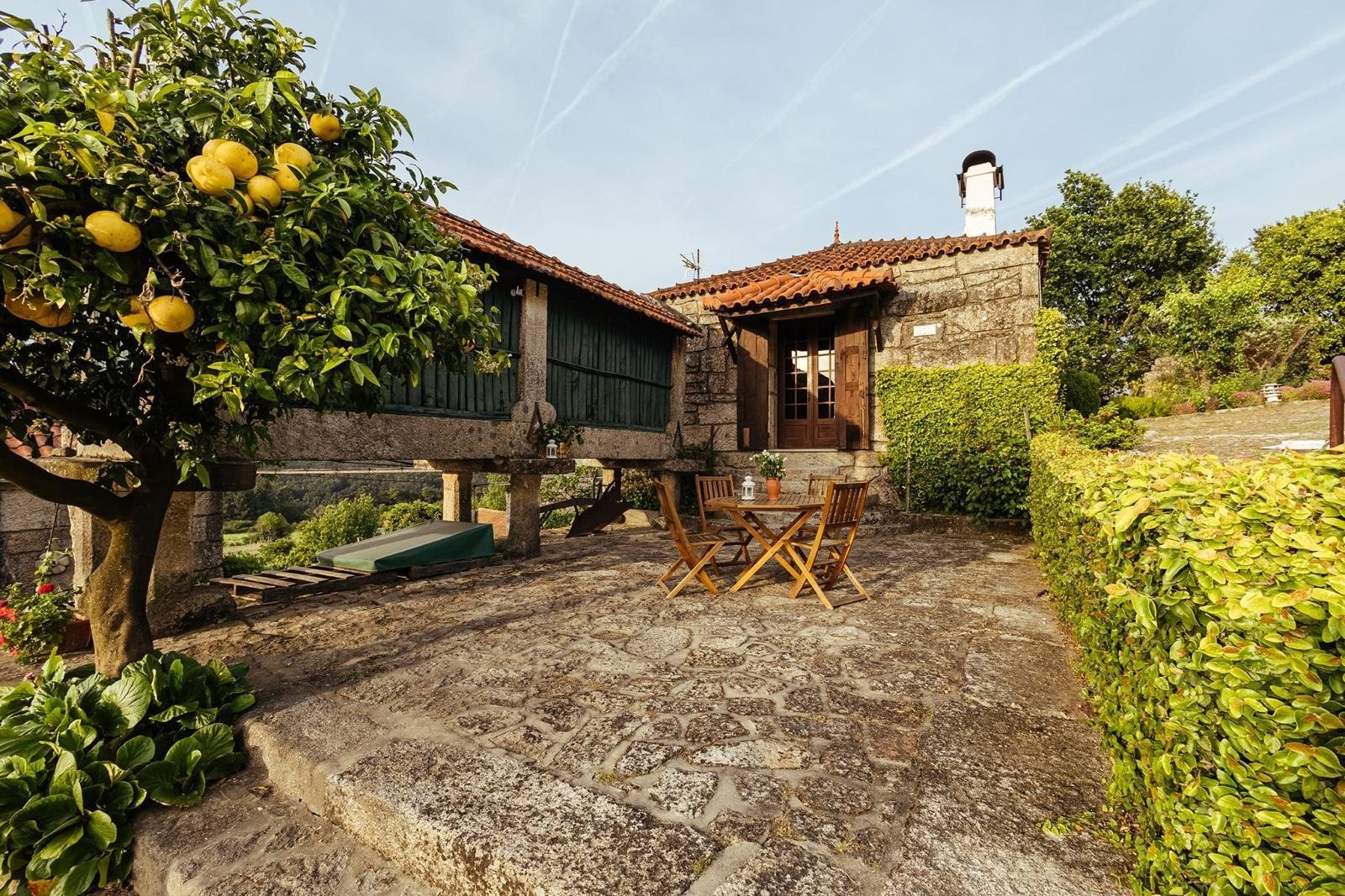 Citronnier et terrasse